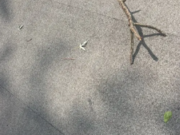 005-storm-damage-restoration-batavia-il-12