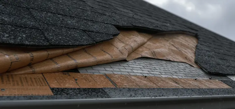 Roofing Underlayment