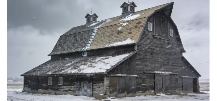 Drawbacks and Risk Factors