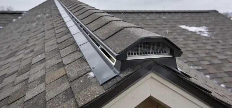 Ridge Vent Design Details